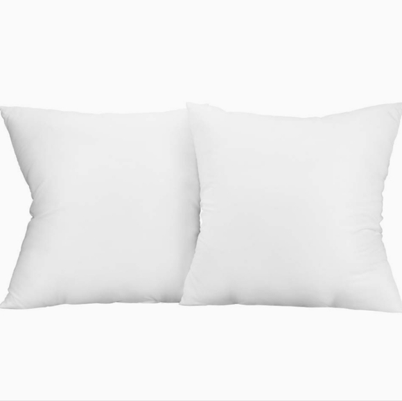 Aniobman Pillow inserts - set of 2- 20" x 20" - Picture 1 of 11